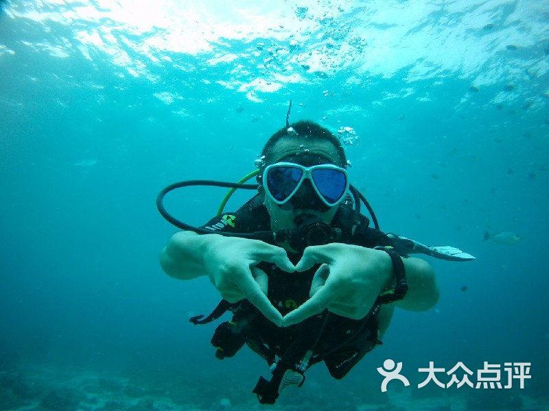 探秘如果可以拥有星际争霸里任意一条秘籍,你最想拥有哪一个?,解答你疑惑